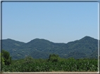 foto Colli Asolani
